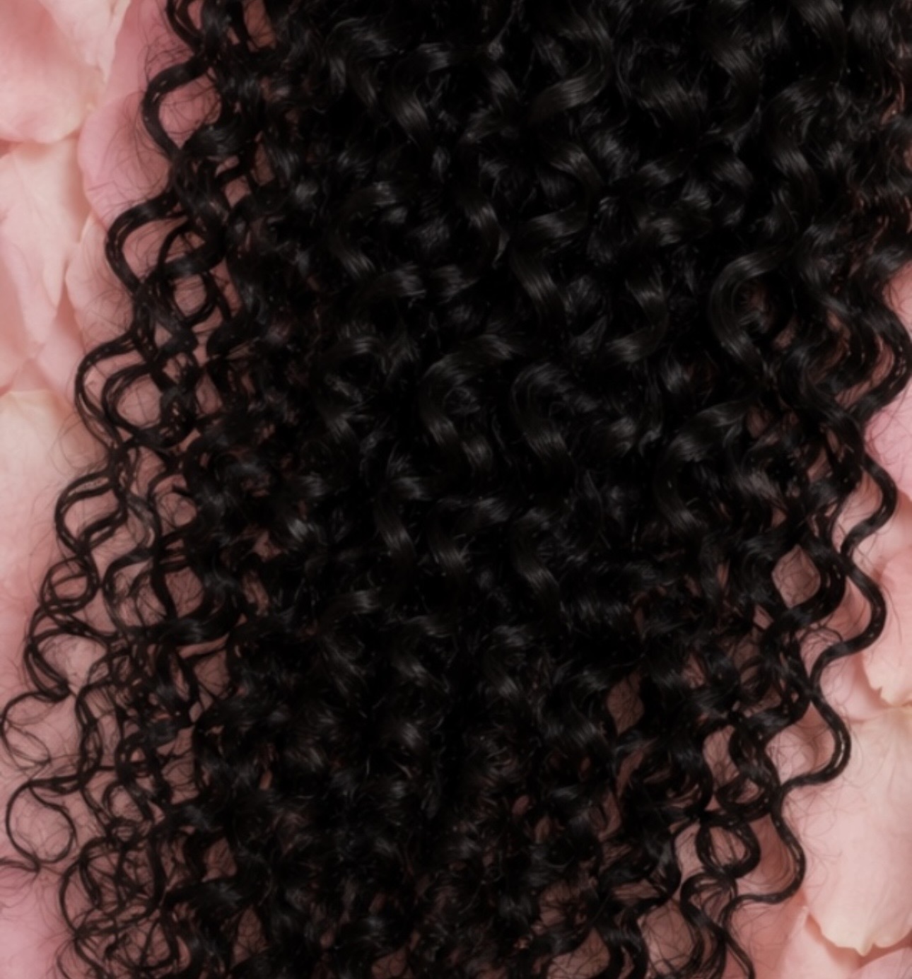 24" Raw Indian Curly Bundle